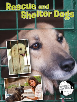 cover image of Rescue and Shelter Dogs
